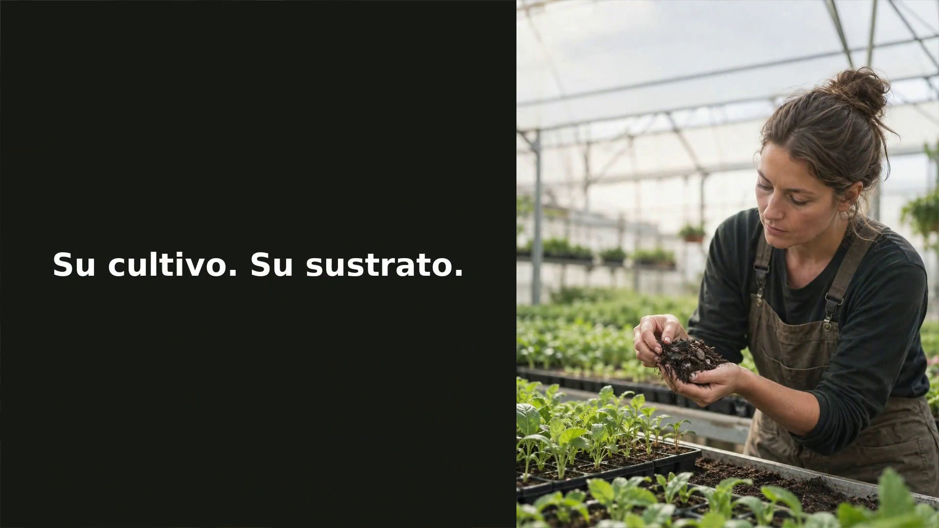 Su cultivo. Su sustrato.