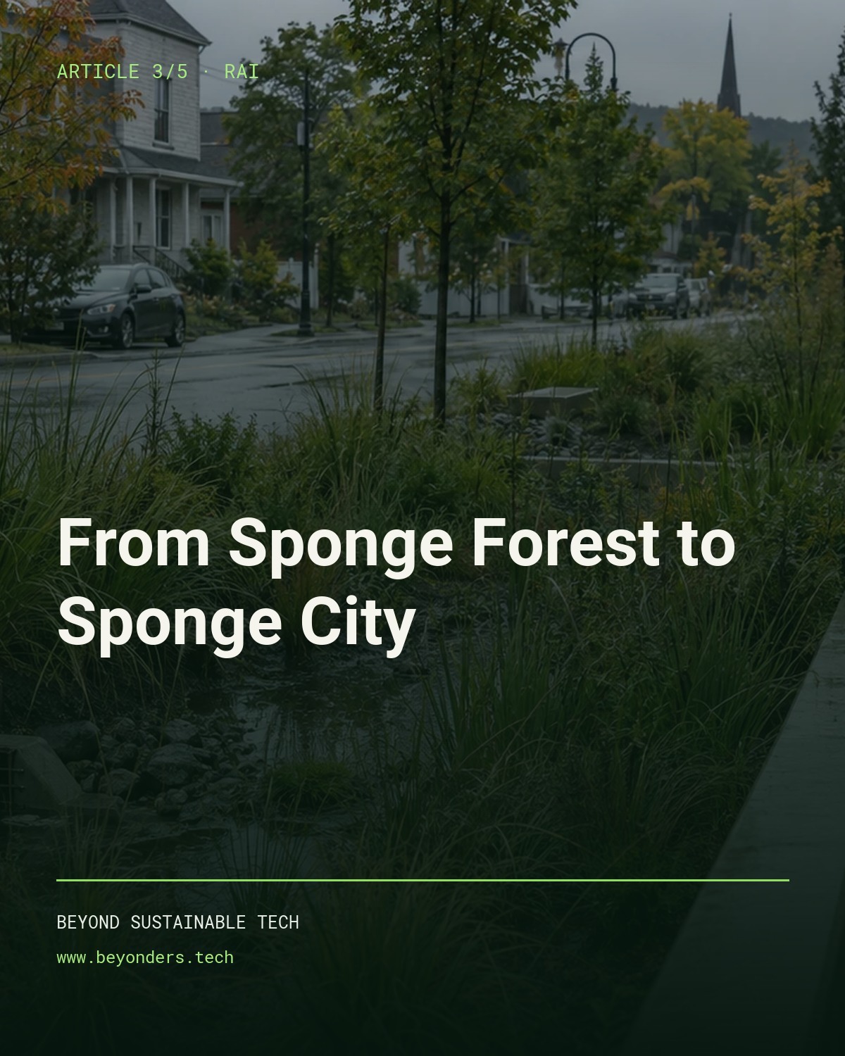 Cover of the third RAI article: from sponge forest to sponge city